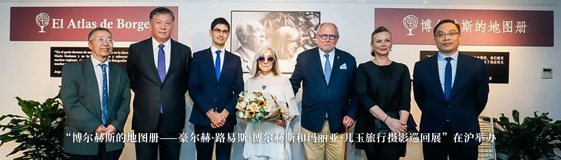 译文动态